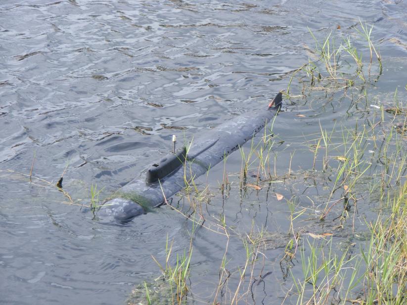 Click image for larger version

Name:	Oscar &amp; Blackjack 018.jpg
Views:	1
Size:	97.1 KB
ID:	58915