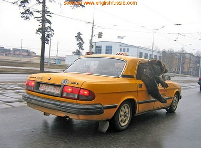 Click image for larger version

Name:	33.jpg
Views:	1
Size:	79.8 KB
ID:	62488