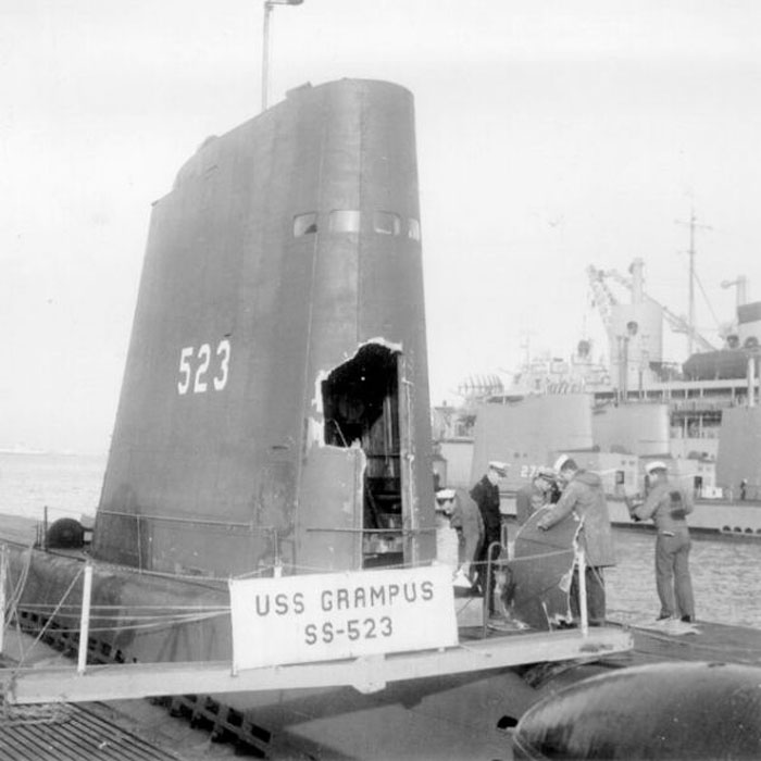 Click image for larger version

Name:	Grampus.jpg
Views:	1
Size:	81.3 KB
ID:	63556