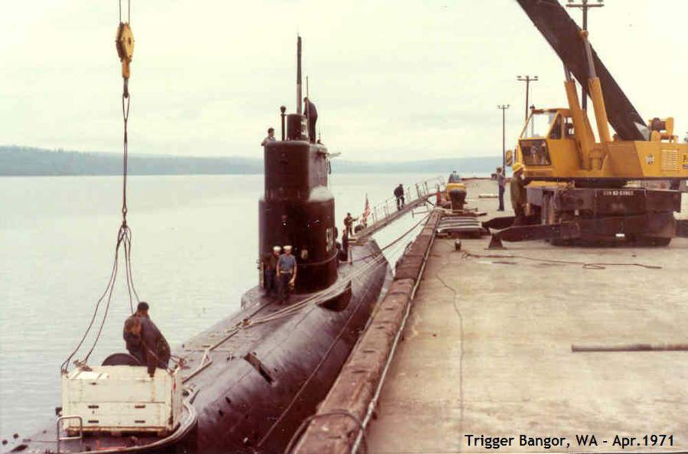 Click image for larger version

Name:	Trigger no puffs.jpg
Views:	1
Size:	59.0 KB
ID:	67224