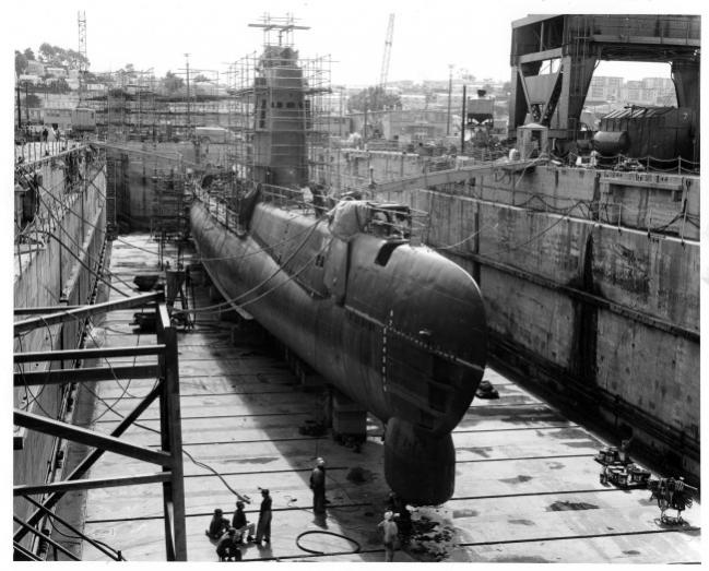Click image for larger version

Name:	Razorback drydock.jpg
Views:	1
Size:	64.0 KB
ID:	67973