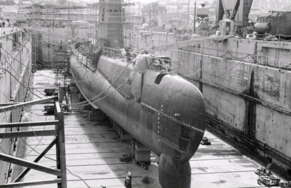Click image for larger version

Name:	Razorback drydock zoom.jpg
Views:	1
Size:	94.4 KB
ID:	73180