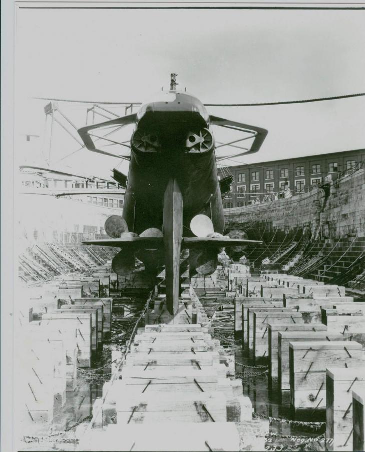 Click image for larger version

Name:	Dolphin stern.jpg
Views:	1
Size:	93.0 KB
ID:	75994