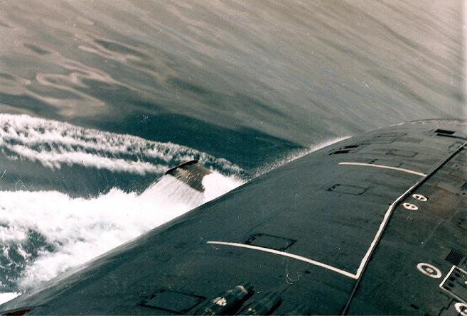 Click image for larger version

Name:	Akula front planes.jpg
Views:	1
Size:	46.0 KB
ID:	81736