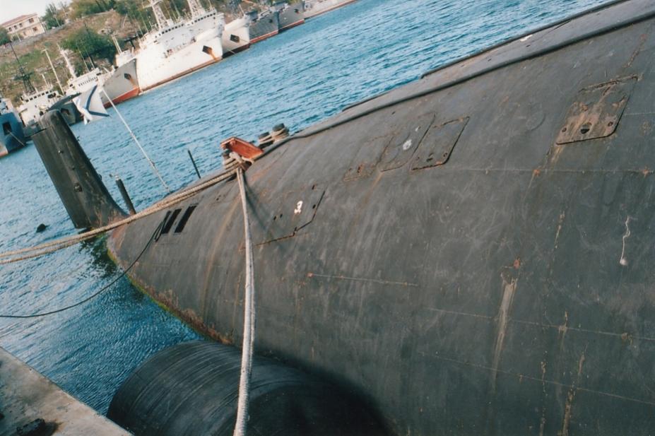 Click image for larger version

Name:	Baluga more tail.jpg
Views:	1
Size:	85.7 KB
ID:	83638