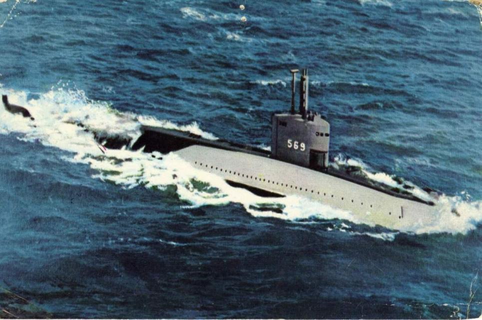 Click image for larger version

Name:	albacore paint.jpg
Views:	2
Size:	96.7 KB
ID:	101539