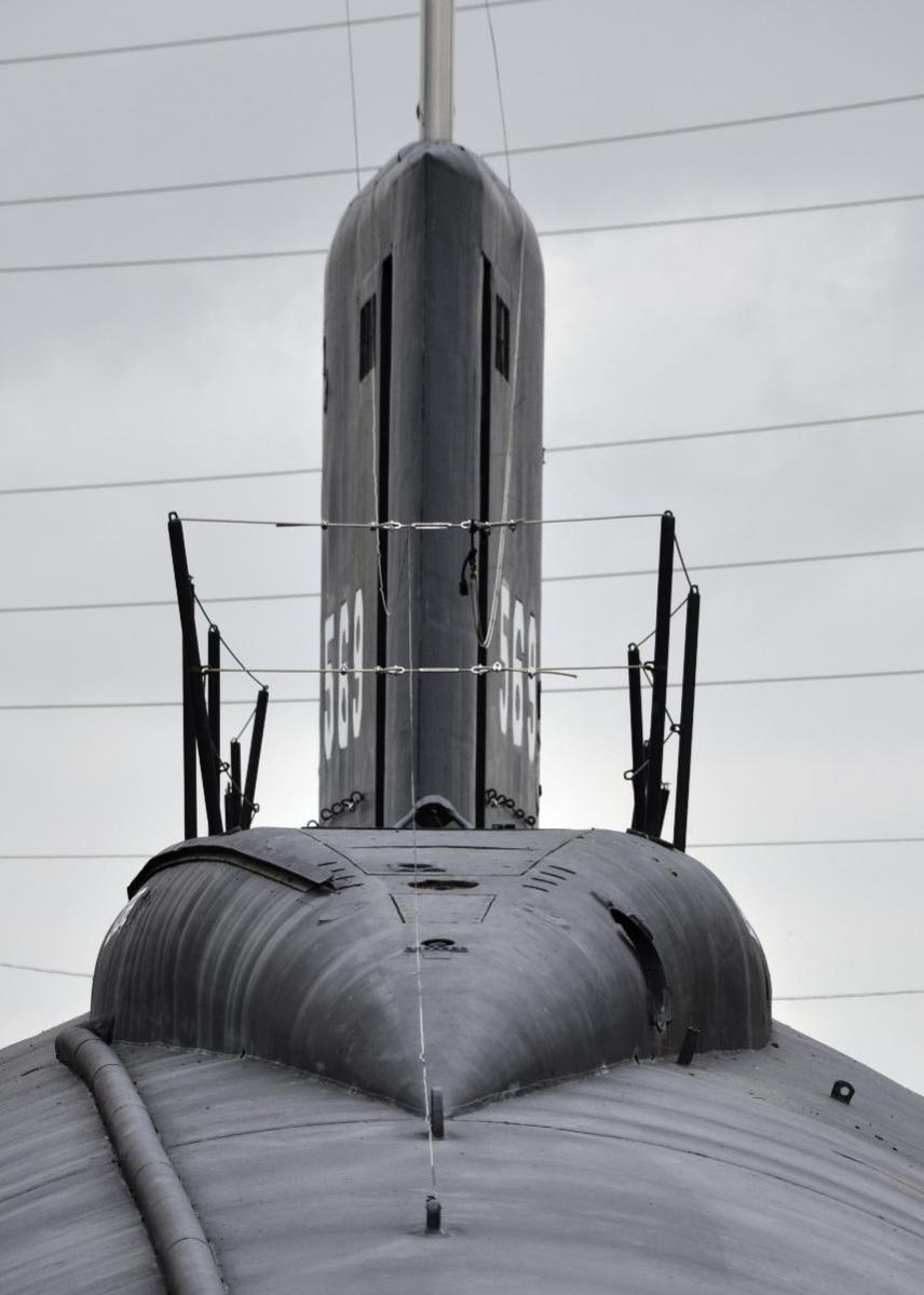Click image for larger version

Name:	Albacore close.jpg
Views:	1
Size:	75.1 KB
ID:	67544