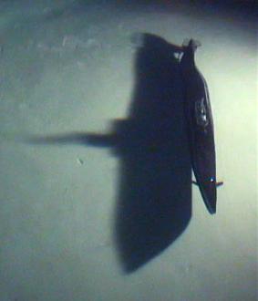 Click image for larger version

Name:	Gato_Pool_Night_04.jpg
Views:	2
Size:	27.9 KB
ID:	68071