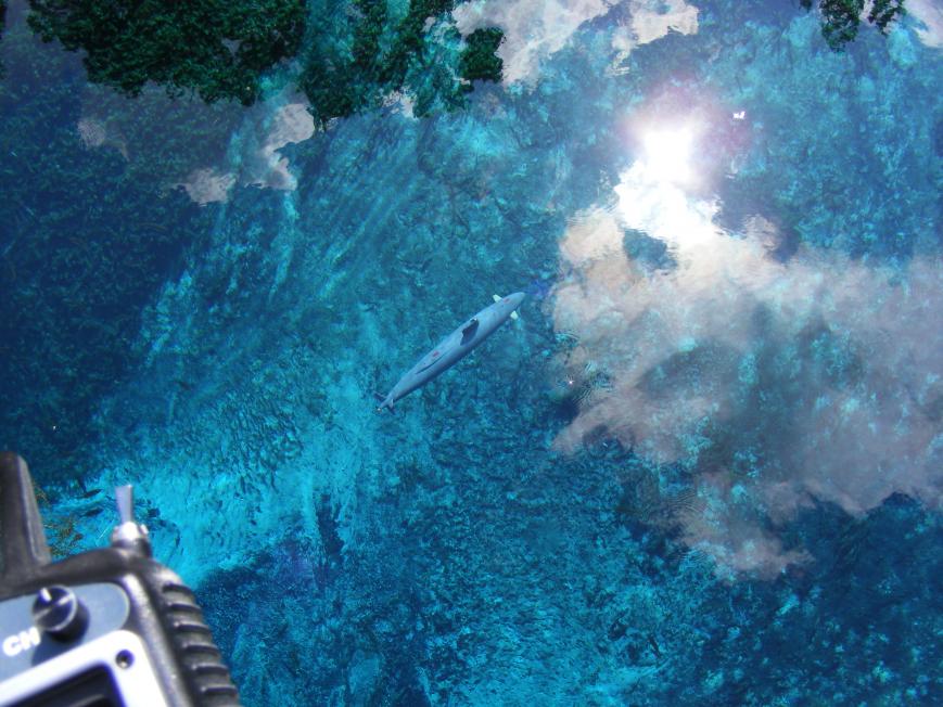 Click image for larger version

Name:	blue spring 040.jpg
Views:	2
Size:	96.4 KB
ID:	89815