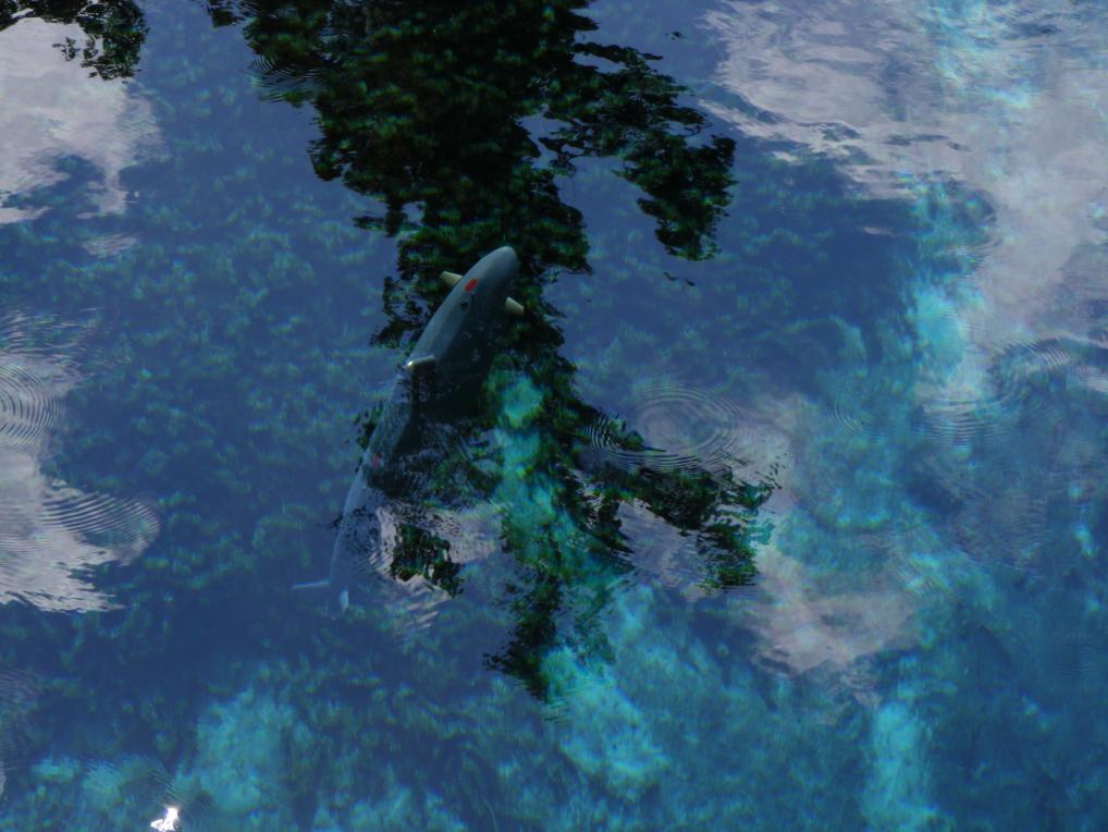 Click image for larger version

Name:	blue spring 042.jpg
Views:	2
Size:	90.3 KB
ID:	89816
