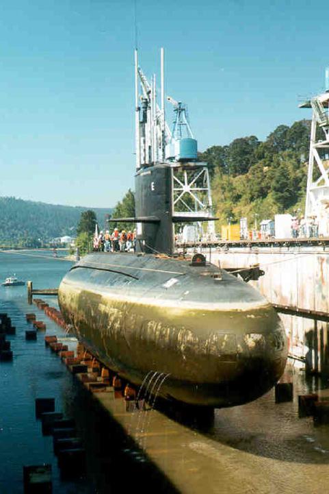 Click image for larger version

Name:	BLUEBACK ON DOCK.jpg
Views:	58
Size:	70.4 KB
ID:	111497
