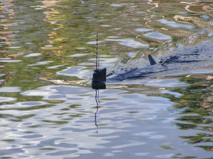 Click image for larger version

Name:	7-14-12 Jet Ski 062.jpg
Views:	2
Size:	94.0 KB
ID:	74972