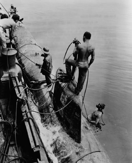 Click image for larger version

Name:	ffc18_evhistorypix027685-831x1024.jpg
Views:	191
Size:	39.1 KB
ID:	112427