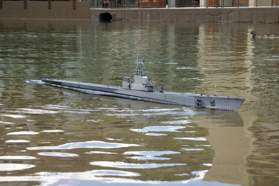 Click image for larger version

Name:	Revell Gato Keystone_04.jpg
Views:	1
Size:	96.2 KB
ID:	82434