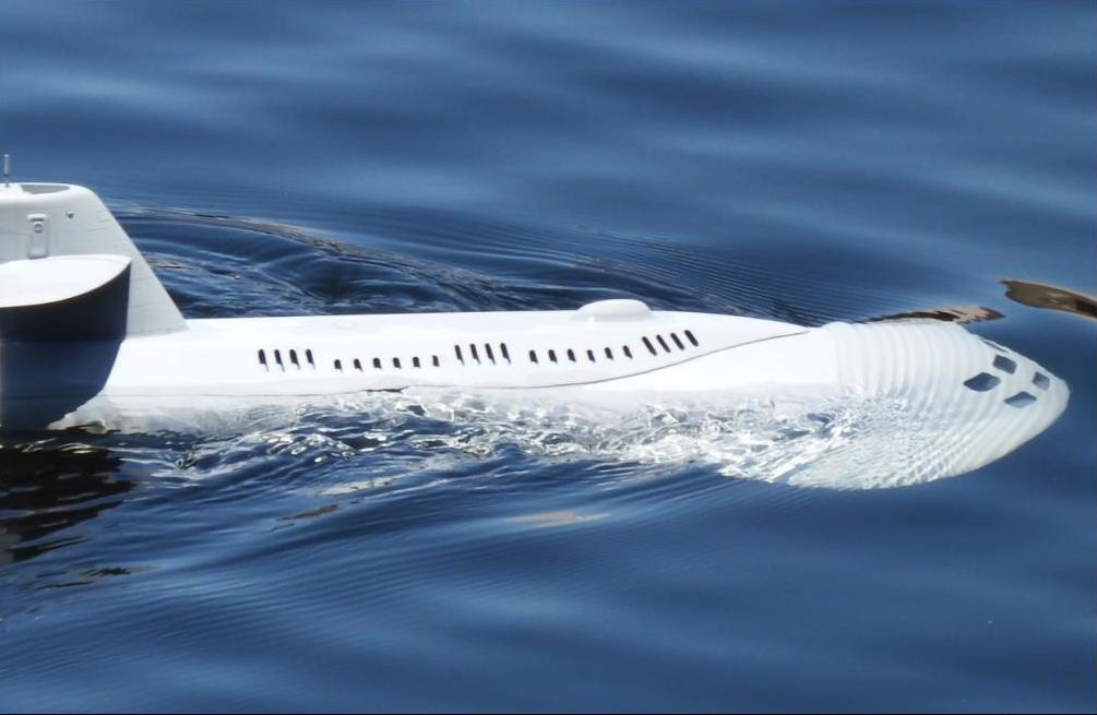 Click image for larger version

Name:	seaview side close.JPG
Views:	1
Size:	61.0 KB
ID:	91357