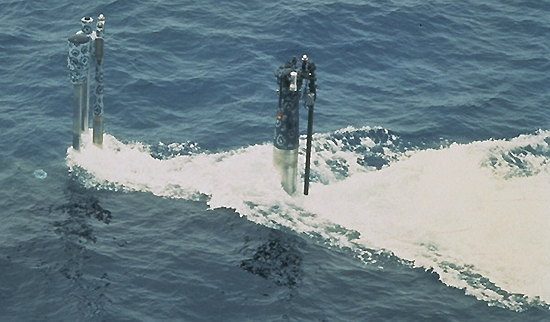 Click image for larger version

Name:	Pakistani Agosta.jpg
Views:	1
Size:	66.7 KB
ID:	68589