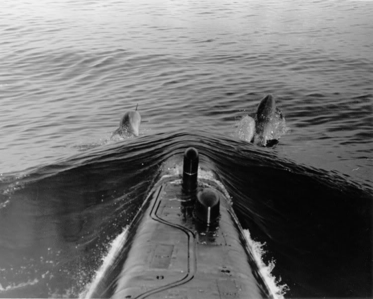 Click image for larger version

Name:	Dolphins and Sargo.jpg
Views:	1
Size:	53.8 KB
ID:	76170