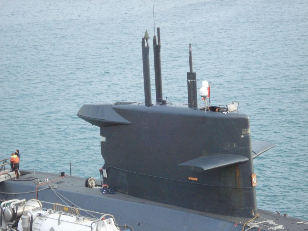 Click image for larger version

Name:	Walrus sail.jpg
Views:	1
Size:	89.6 KB
ID:	76552