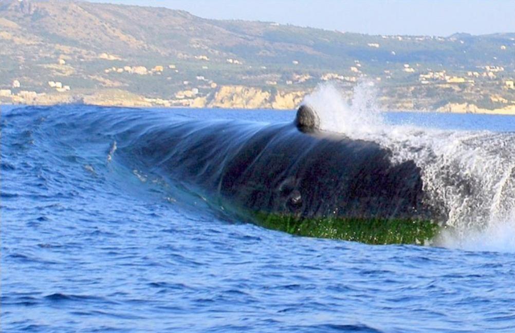 Click image for larger version

Name:	USS Norfolk bow closer.jpg
Views:	1
Size:	91.4 KB
ID:	76602