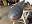 Click image for larger version  Name:	IMG_3629.JPG Views:	2 Size:	21.2 KB ID:	118046