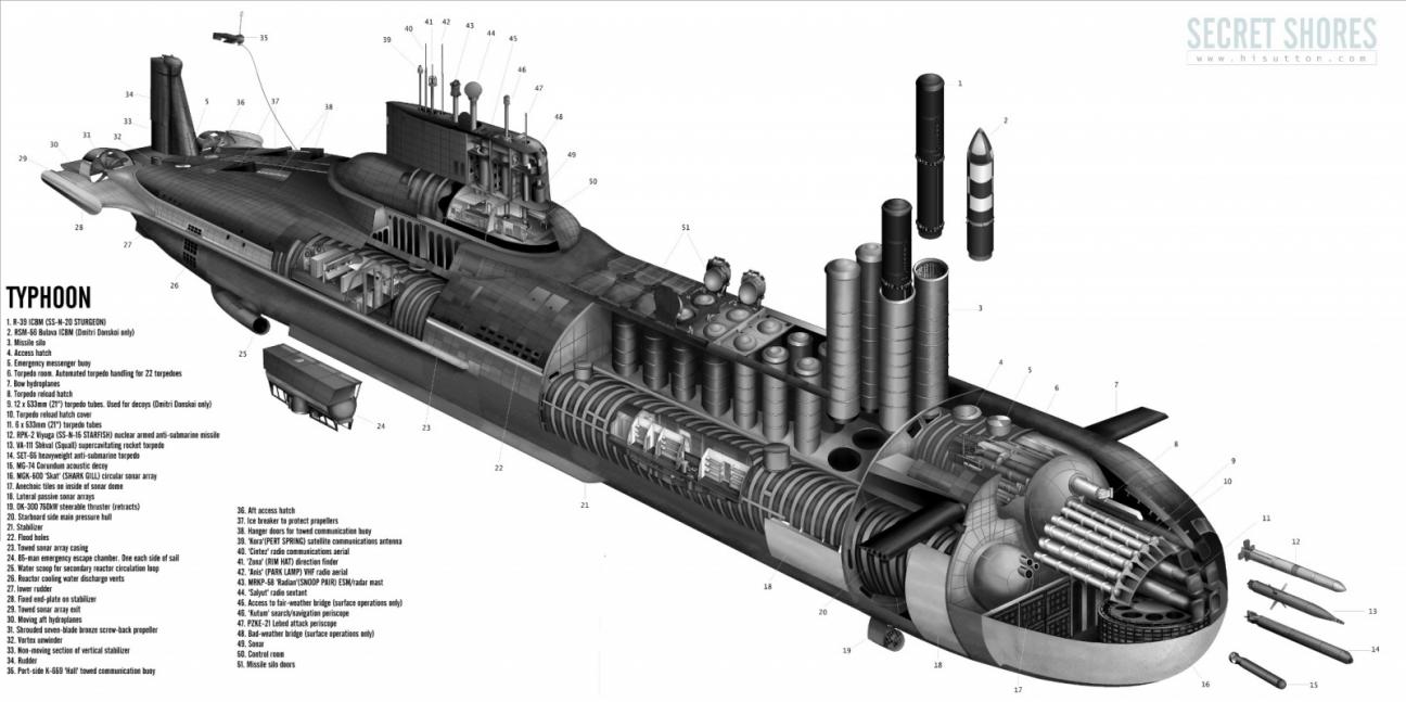 Click image for larger version

Name:	748921SSBNTyphoon2.jpg
Views:	1
Size:	95.5 KB
ID:	93154