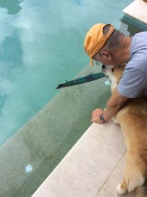 Click image for larger version

Name:	IMG_0898.JPG
Views:	172
Size:	9.1 KB
ID:	120272