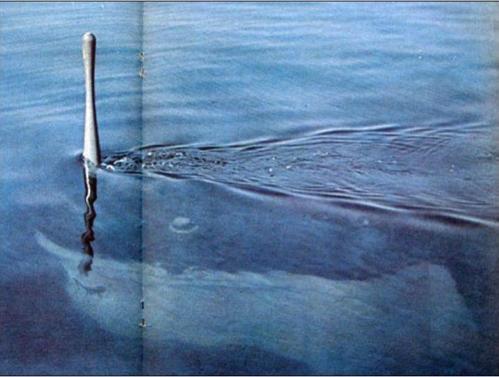 Click image for larger version

Name:	Dived U boat.jpg
Views:	1
Size:	53.0 KB
ID:	74140