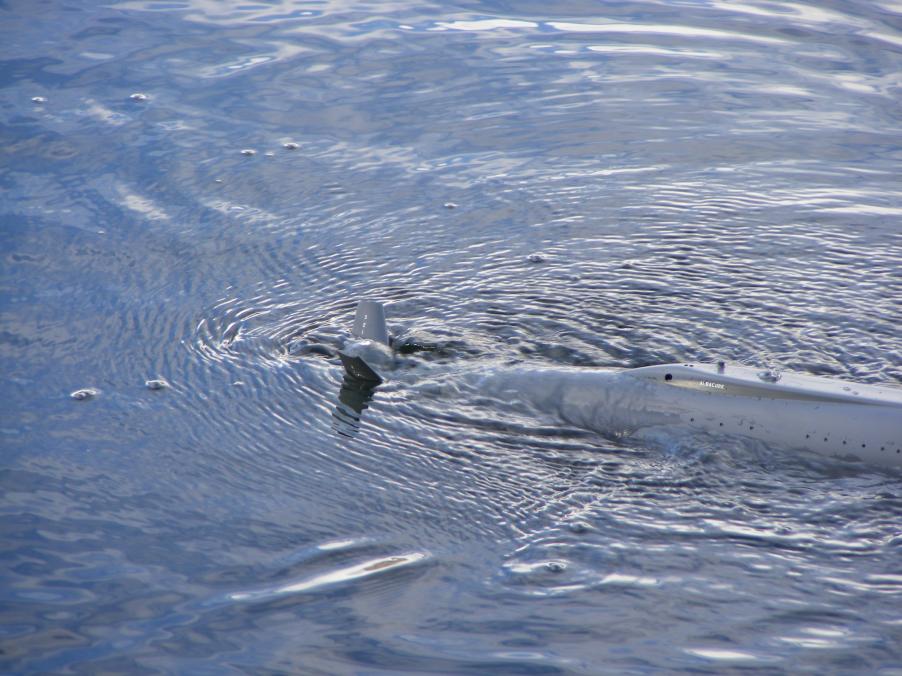 Click image for larger version

Name:	7-14-12 Jet Ski 060.jpg
Views:	1
Size:	94.3 KB
ID:	74970