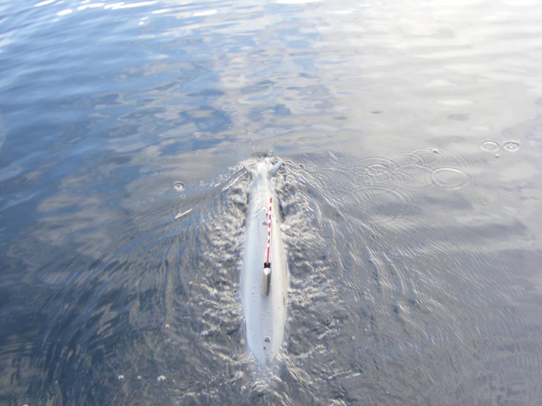 Click image for larger version

Name:	7-14-12 Jet Ski 065.jpg
Views:	1
Size:	88.7 KB
ID:	74974