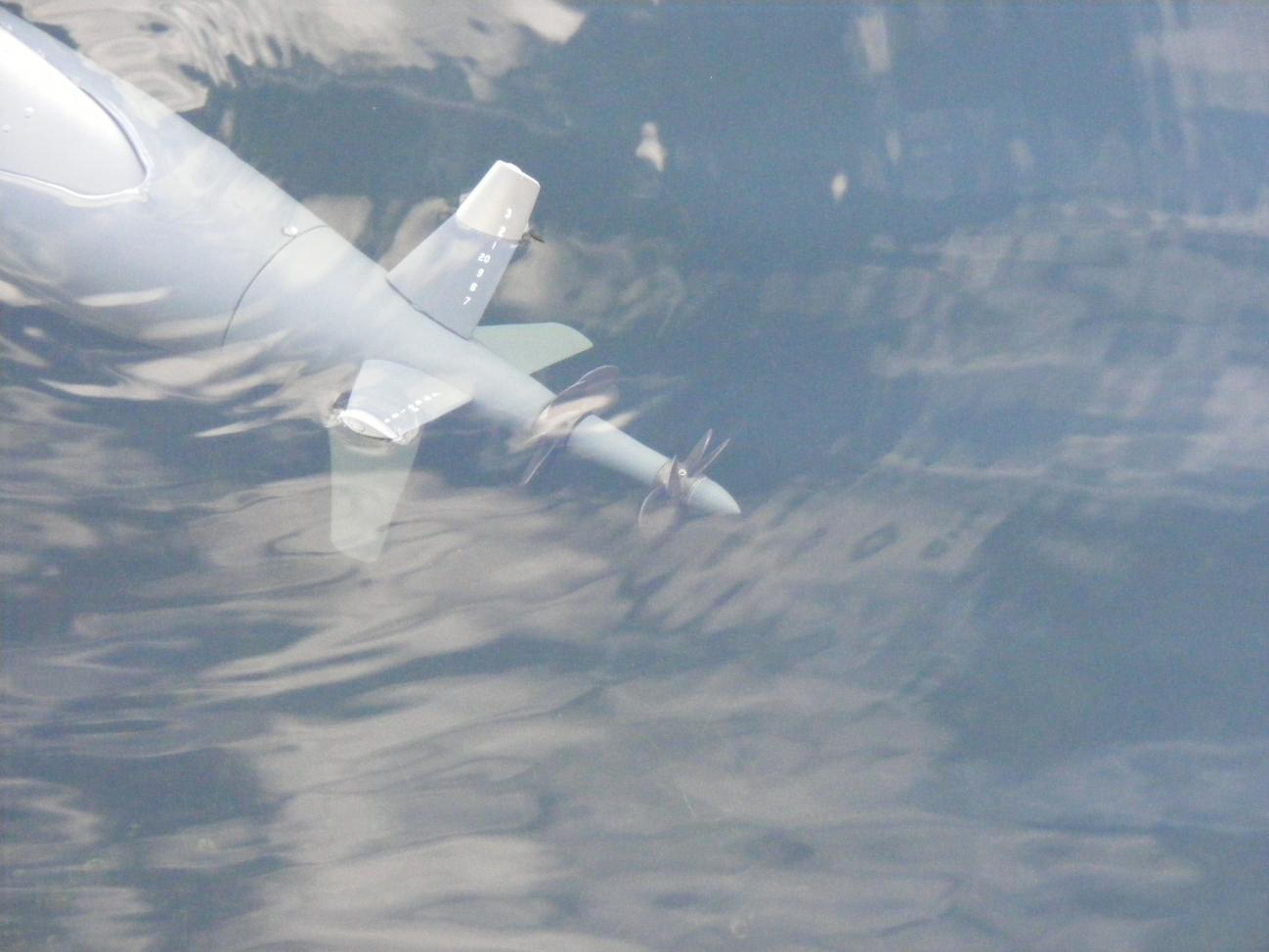 Click image for larger version

Name:	7-14-12 Jet Ski 069.jpg
Views:	1
Size:	93.7 KB
ID:	74976
