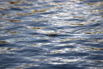 Click image for larger version  Name:	Seaview _123.jpg Views:	1 Size:	17.5 KB ID:	132011