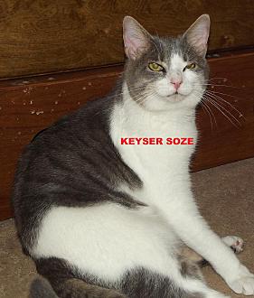 Click image for larger version

Name:	DSCF9573.jpg
Views:	3
Size:	96.9 KB
ID:	91733