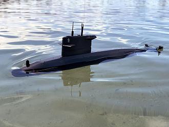 Click image for larger version

Name:	Walrus_2020.jpg
Views:	365
Size:	78.6 KB
ID:	143948