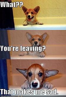 Click image for larger version

Name:	images (8).jpeg
Views:	424
Size:	59.6 KB
ID:	144675