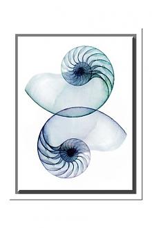 Click image for larger version  Name:	12153358.jpg Views:	0 Size:	37.8 KB ID:	145368