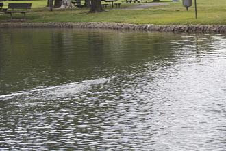 Click image for larger version

Name:	SoCal_Fun_Run_4_2014_029.jpg
Views:	1
Size:	98.9 KB
ID:	91152