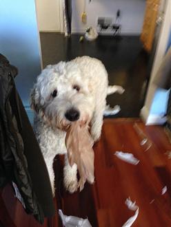Click image for larger version

Name:	IMG_2230.jpg
Views:	1
Size:	83.8 KB
ID:	89908