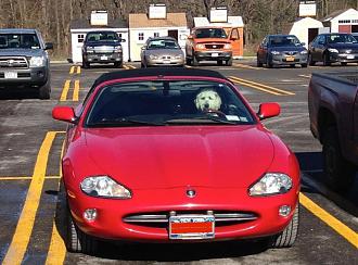 Click image for larger version

Name:	IMG_2318.jpg
Views:	1
Size:	95.7 KB
ID:	89909