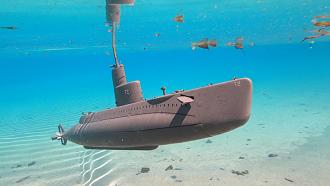 Click image for larger version

Name:	Cohutta_001.jpg
Views:	272
Size:	73.2 KB
ID:	153813