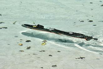 Click image for larger version

Name:	Cohutta_040.jpg
Views:	229
Size:	89.7 KB
ID:	153840