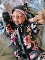 Click image for larger version

Name:	8131C1DD-556D-4F91-987C-26C946734D74.jpeg
Views:	391
Size:	51.3 KB
ID:	160470