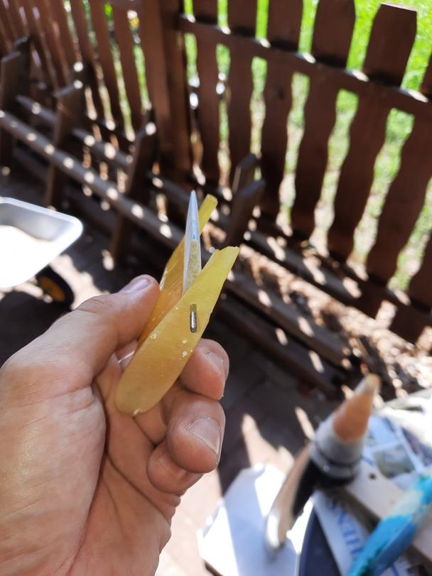 Click image for larger version

Name:	20220828_121925_copy_1200x1600.jpg
Views:	739
Size:	58.4 KB
ID:	165245