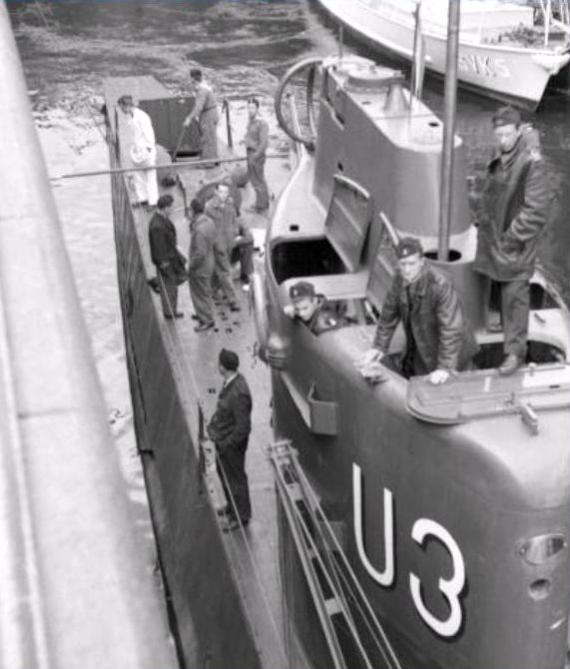 Click image for larger version

Name:	U3  zoom.jpg
Views:	1
Size:	48.8 KB
ID:	102704