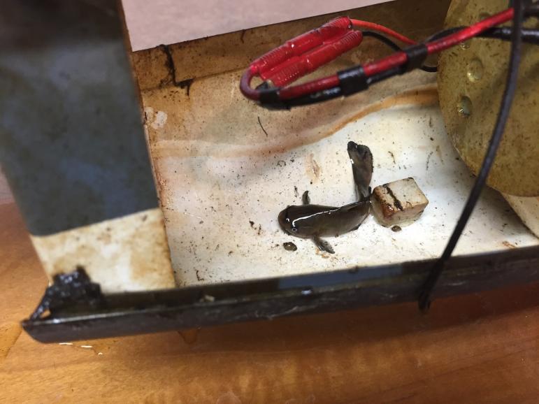 Click image for larger version

Name:	IMG_3840.jpg
Views:	224
Size:	52.7 KB
ID:	174332