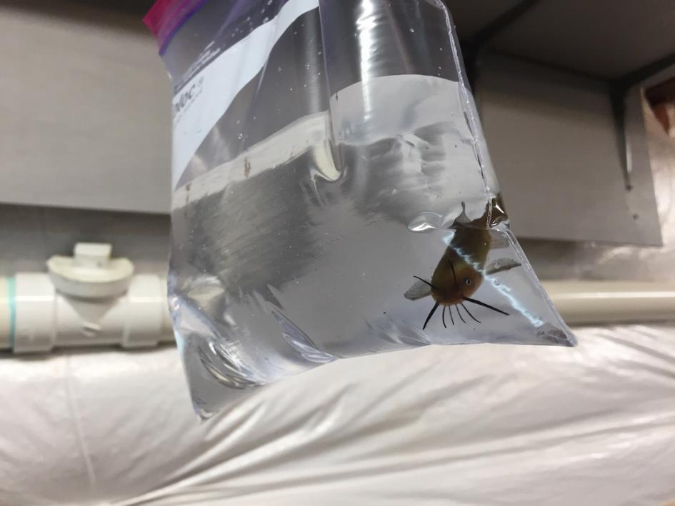 Click image for larger version

Name:	IMG_3843.jpg
Views:	256
Size:	49.8 KB
ID:	174330