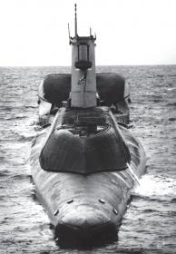 Click image for larger version

Name:	MissilesOnSubmarines_8.jpg
Views:	1
Size:	11.2 KB
ID:	62320