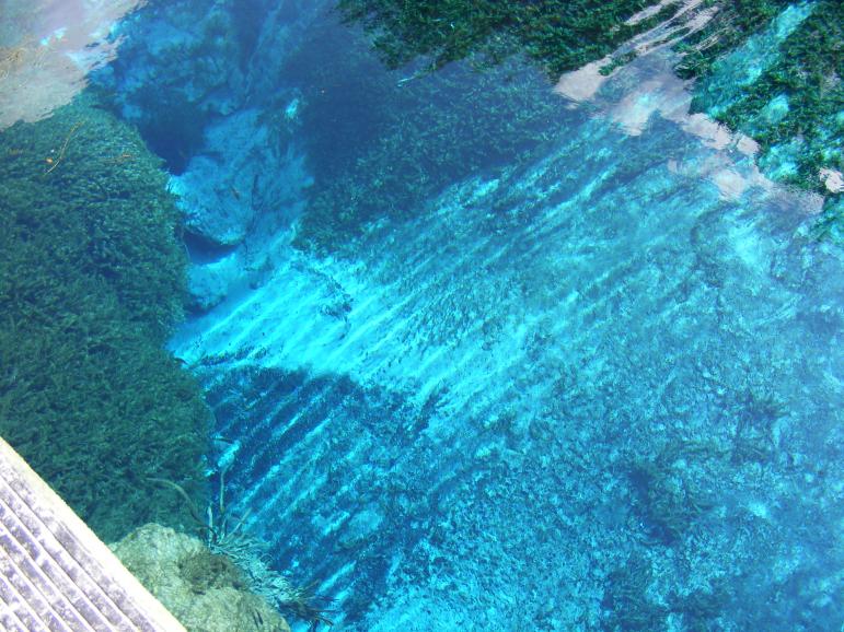 Click image for larger version

Name:	blue spring 036.jpg
Views:	1
Size:	98.6 KB
ID:	59160
