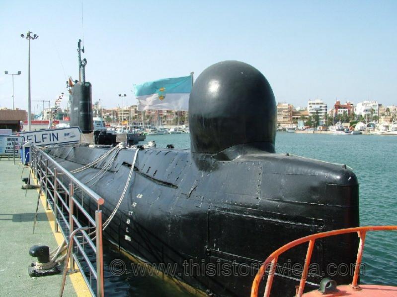 Click image for larger version

Name:	delphin1.jpg
Views:	1
Size:	72.3 KB
ID:	61543