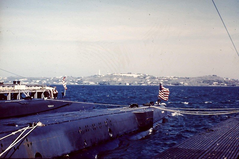 Click image for larger version

Name:	unknown stern blister.jpg
Views:	1
Size:	88.0 KB
ID:	100900