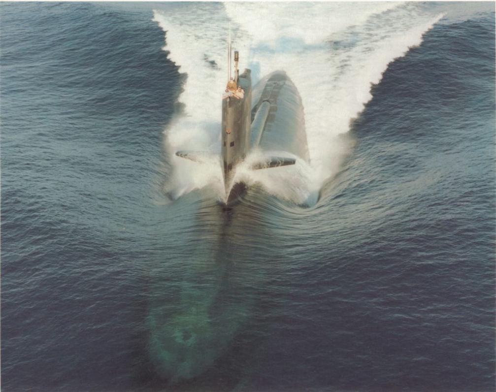 Click image for larger version

Name:	shark at sea.jpg
Views:	1
Size:	91.6 KB
ID:	60831